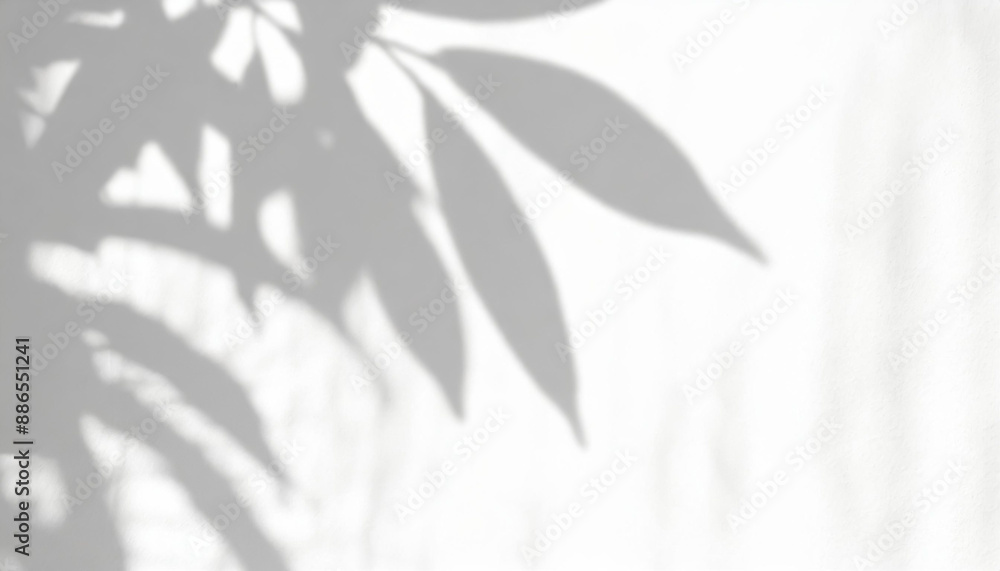 abstract shadow of leaves on a white wall overlay effect for photo mock up product wall art design presentation abstract shadow of leaves on a white wall overlay effect for photo mock up product wall art design presentation