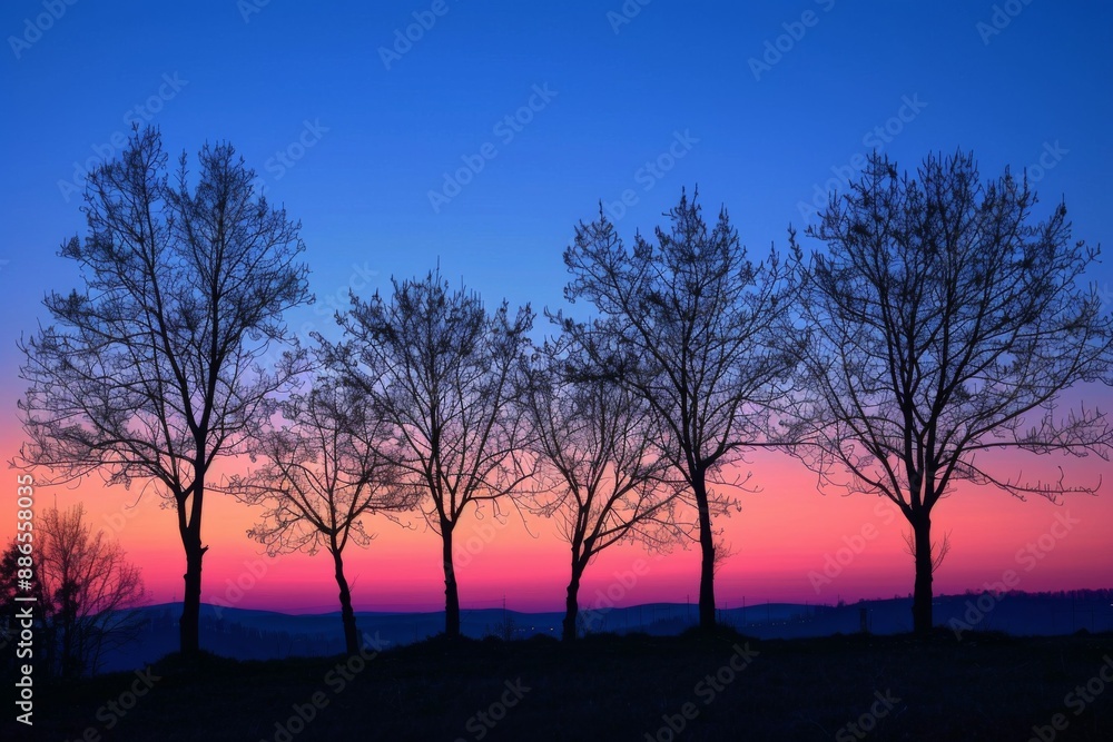 Sunset Silhouette of Trees Sunset Silhouette of Trees