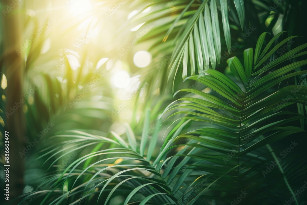 Lush tropical foliage with sunlight in the background Lush tropical foliage with sunlight in the background