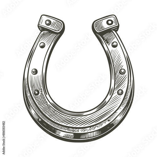 vintage horseshoe engraving hand drawn illustration vector