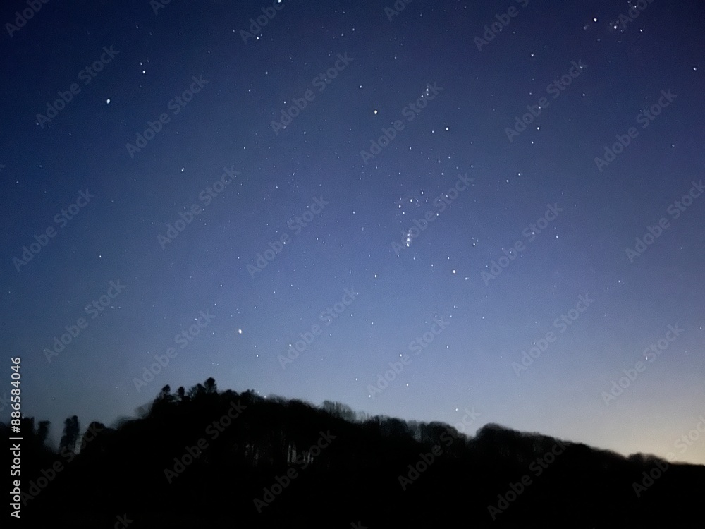 night sky with stars and trees night sky with stars and trees