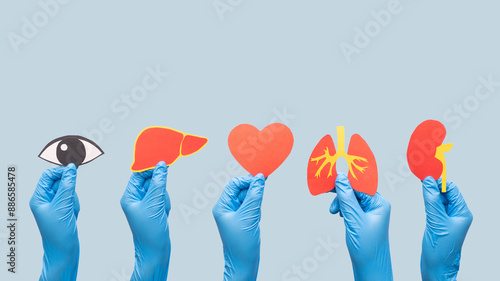 Foto Organ donation and transplantation concept