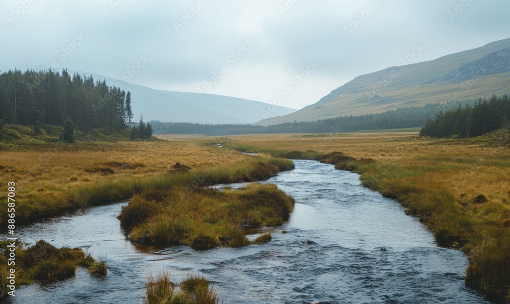 Obraz premium Serene River Flowing Through Lush Green Meadow.