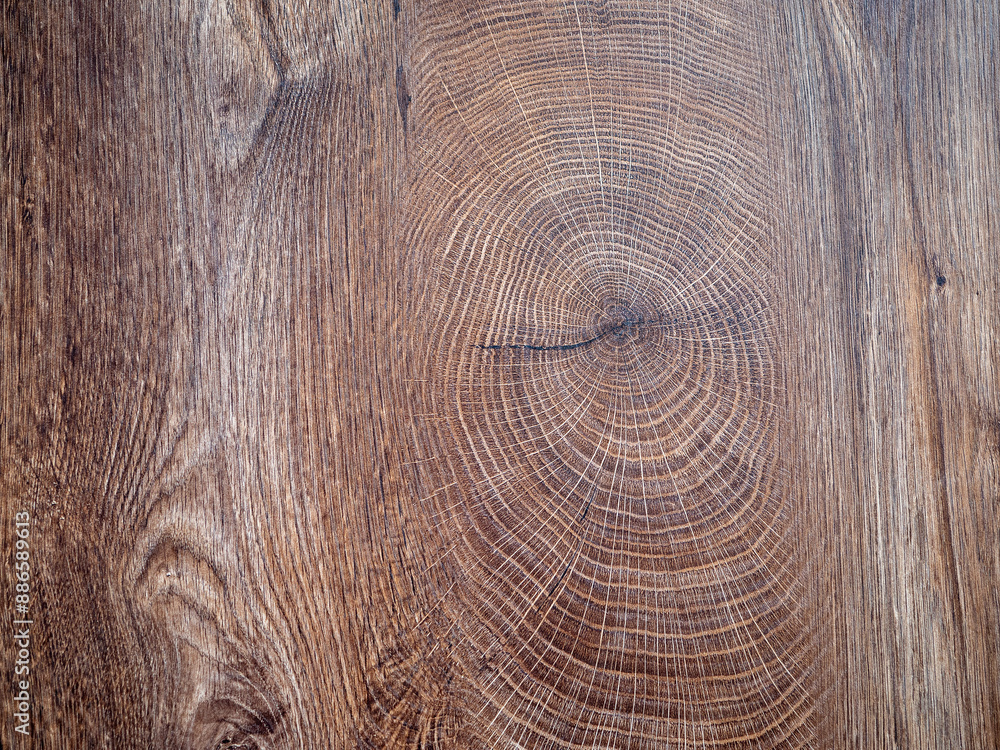 Naklejka premium The wooden oak board is suitable for the production of furniture, decoration or cladding in the interior, but also as a photo background.