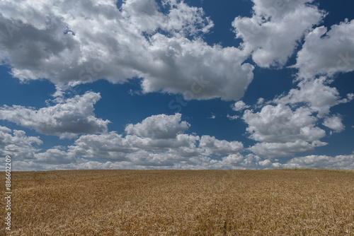 WEATHER - A tropical day summer with cumulus clouds flying in the blue sky