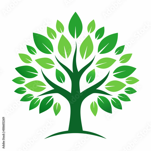 set of maple trees of life vector illustration