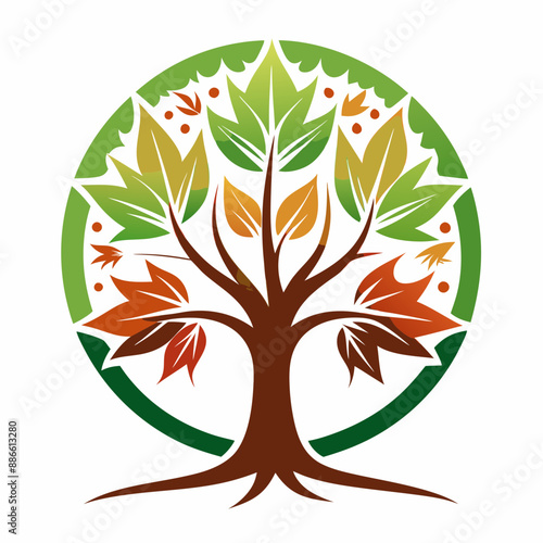 set of maple trees of life vector illustration