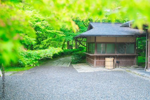 京都の西芳寺の庭園 photo