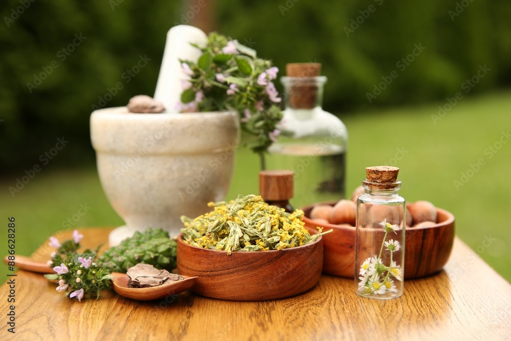 Different ingredients for tincture, bottles, mortar and pestle on wooden table outdoors Different ingredients for tincture, bottles, mortar and pestle on wooden table outdoors