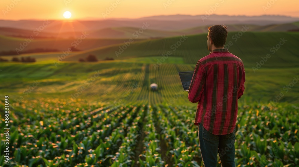 Fototapeta premium A smart farmer or agronomist is working with computer laptop at his corn field or maize field at agriculture farm. 