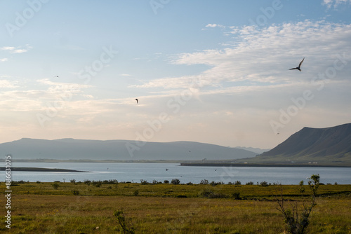 Reykjavik photo