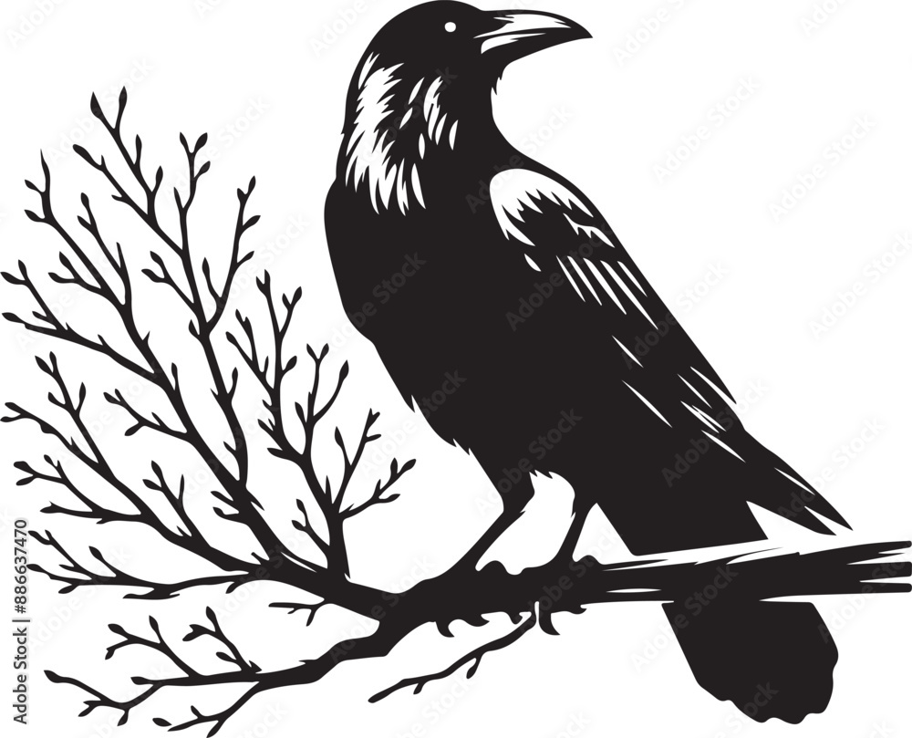 Obraz premium bird on a branch