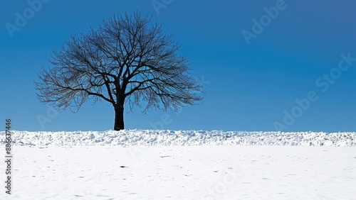Wallpaper Mural Lonely tree on a field covered with snow against a blue sky Torontodigital.ca