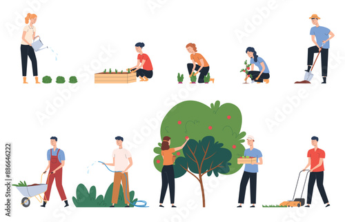 People work in the garden. Seedlings of vegetables in beds, watering plants, cleaning the area. Homework outside. Vector illustration