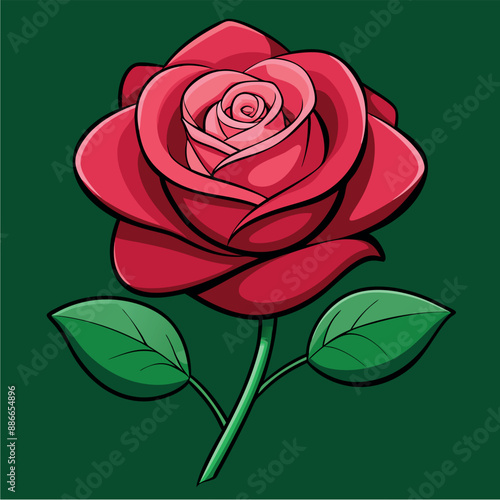Rose Free Vector and Rose Background