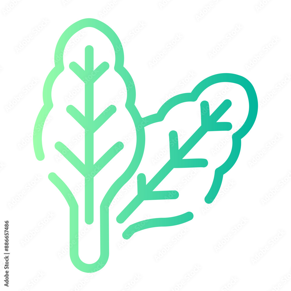 Fototapeta premium spinach