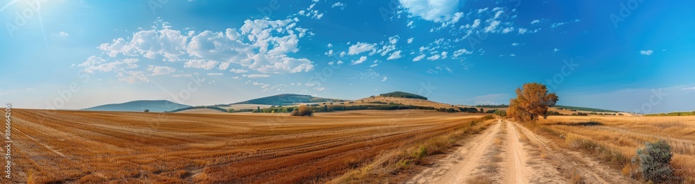 Country Road Through a Golden Field with Blue Sky Country Road Through a Golden Field with Blue Sky