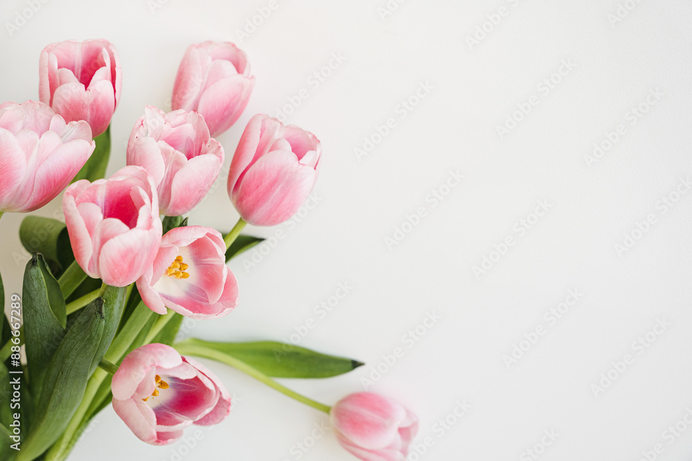 Beautiful pink tulip flowers bouquet over white background. Aesthetic floral composition with copy space Beautiful pink tulip flowers bouquet over white background. Aesthetic floral composition with copy space