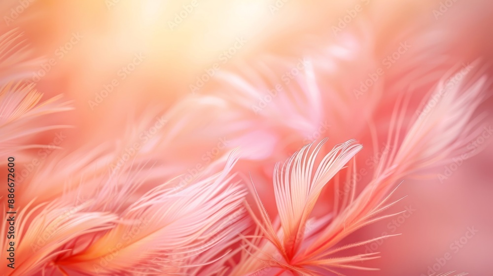 Soft Peach Fuzz Feathers: Blurred Background - Gentle and Delicate Visual Soft Peach Fuzz Feathers: Blurred Background - Gentle and Delicate Visual