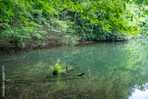 lake in summer with greenery photo