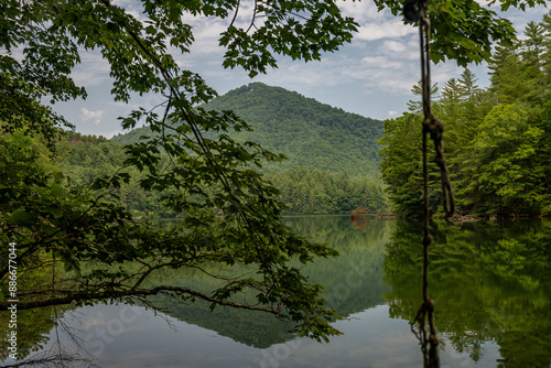 lake in summer with greenery photo