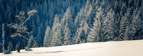 panoramic winter scenery, awesome sunset landscape, Carpathian mountains, Ukraine< Europe, Huzul region photo