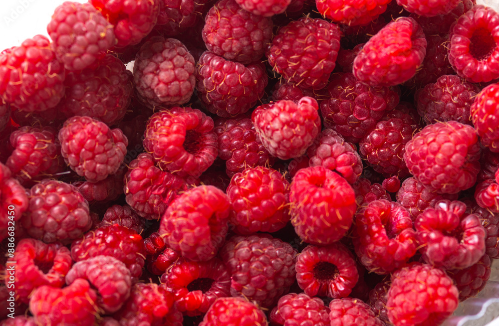 fresh raspberries close-up macro photography, shallow depth of field fresh raspberries close-up macro photography, shallow depth of field