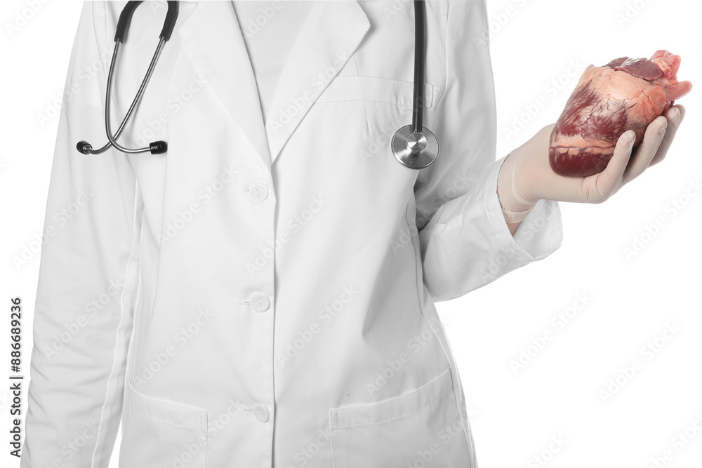 Doctor with heart on white background, closeup