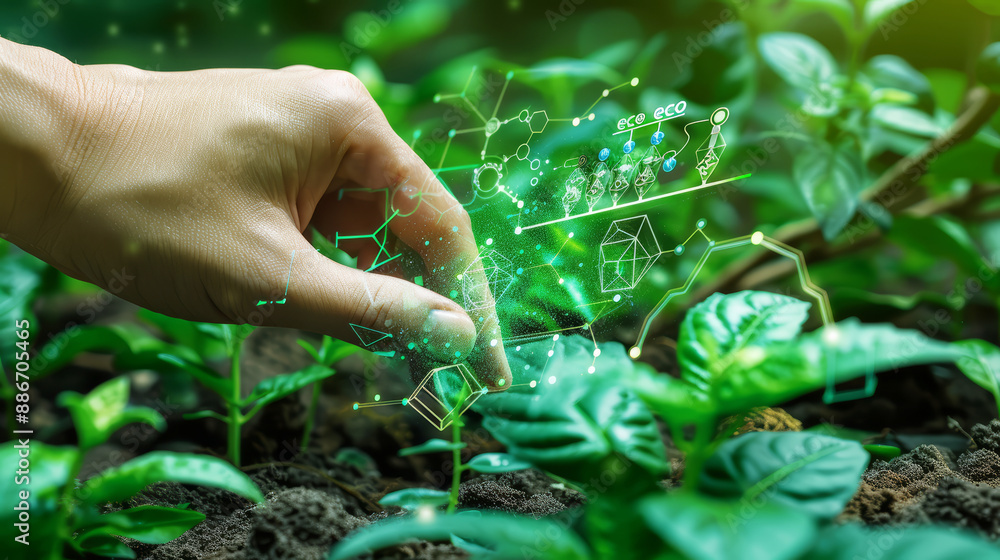 Genetic engineering, biotechnology, green energy, environmental protection. A hand touching a plant in a garden with diagram of molecules. Genetic engineering, biotechnology, green energy, environmental protection. A hand touching a plant in a garden with diagram of molecules.