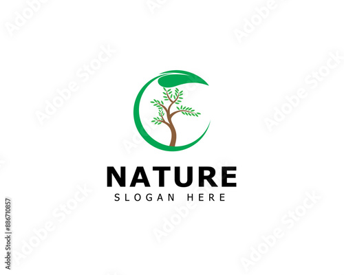 Abstract Tree of life logo icons. Eco nature symbols.