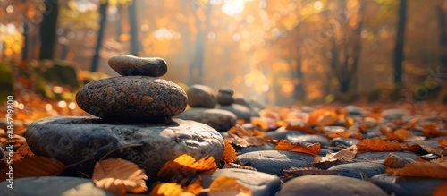 Beautiful autumn forest wildlife with stones offers a serene backdrop for text The image portrays solitude in nature. Copy space image. Place for adding text and design photo