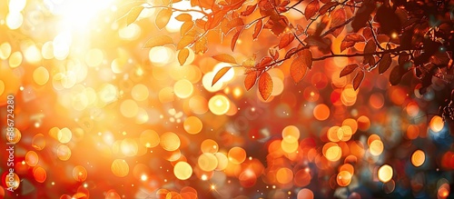 Nature s dappled sunlight forms an orange bokeh background perfect for a copy space image photo