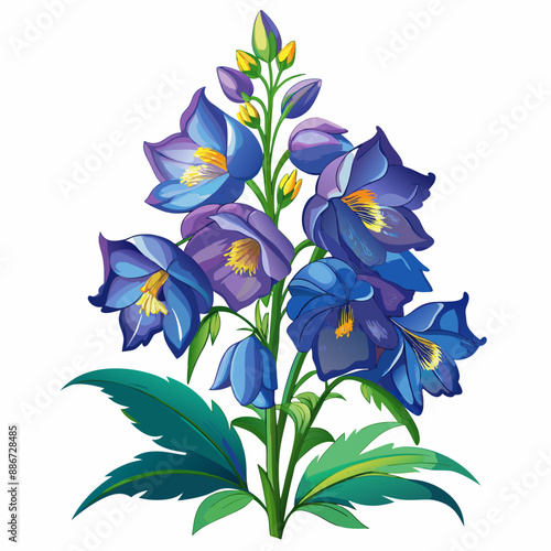 Delphinium flower vector illustration 