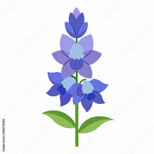 Delphinium flower vector illustration 