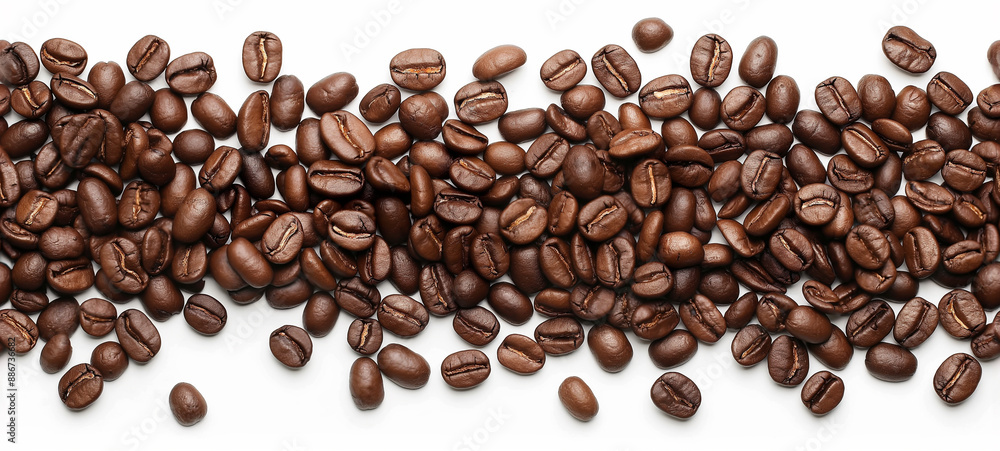 Naklejka premium Seamless Horizontal coffee bean isolated on White background - Caffeine boarder Background