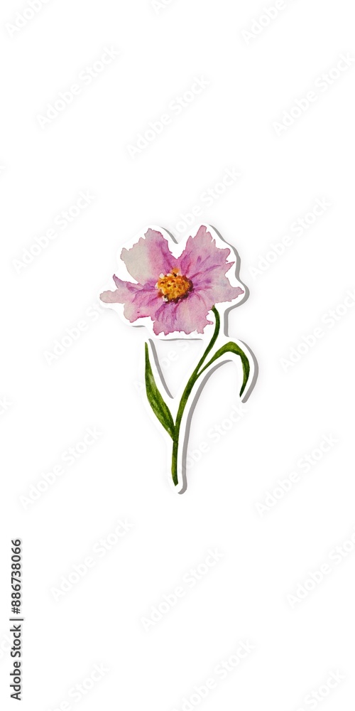 Fototapeta premium Sticker hand drawn watercolor single twig pink flower. White background.