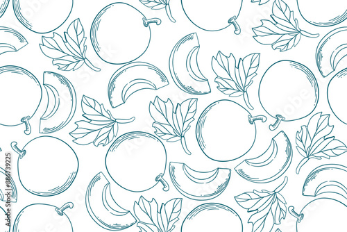 seamless pattern melon vector drawing