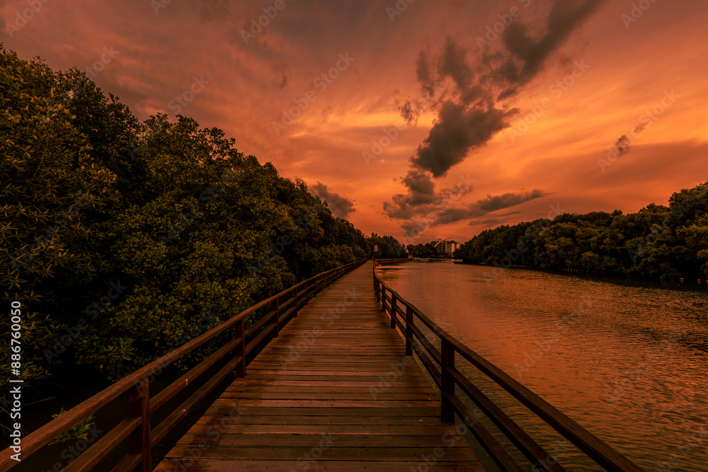 Fototapeta premium Close-up view of the natural background of the wooden bridge, which is surrounded by mangrove forests, colorful leaves of the leaves, blown through the blurred coolness during ecological travel.