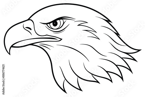 Elegant eagle head line art vector illustration design, perfect for prints and digital use. photo