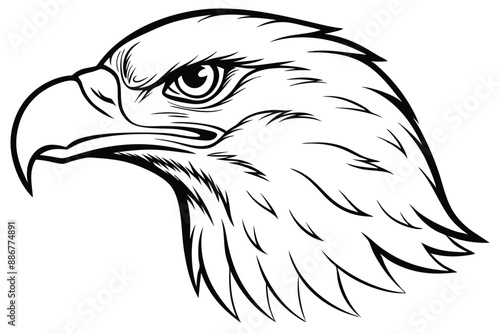 Elegant eagle head line art vector illustration design, perfect for prints and digital use.
