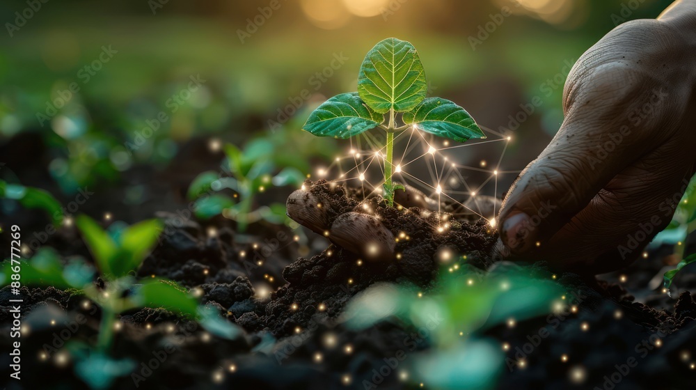 The concept of using AI and smart farming The concept of using AI and smart farming