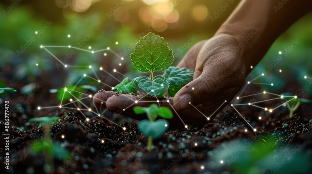 The concept of using AI and smart farming The concept of using AI and smart farming