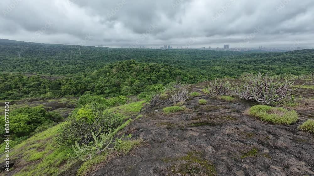 Rocky Terrain Landscape with Green Patches at Kanheri Caves, Mumbai, India
Rocky Terrain Landscape with Green Patches at Kanheri Caves, Mumbai, India