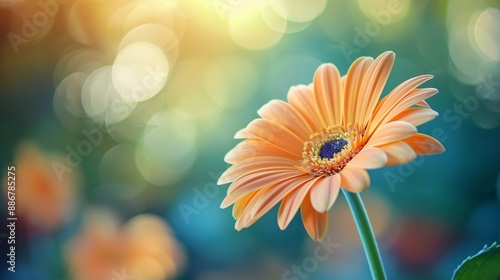 Flower on background, a depiction of amazing color. Blossoming and bright, it's a gorgeous natural decoration.