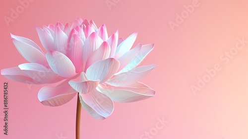 A wonderful flower on background, a sight of pure delight. Vibrant and bright, it's an adorable natural sight.