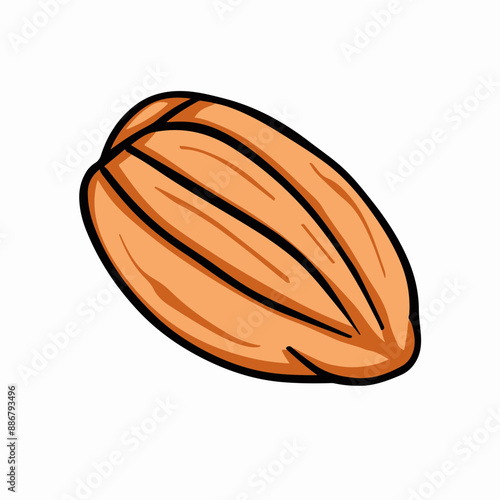 Illustration of an Almond Nut on a White Background