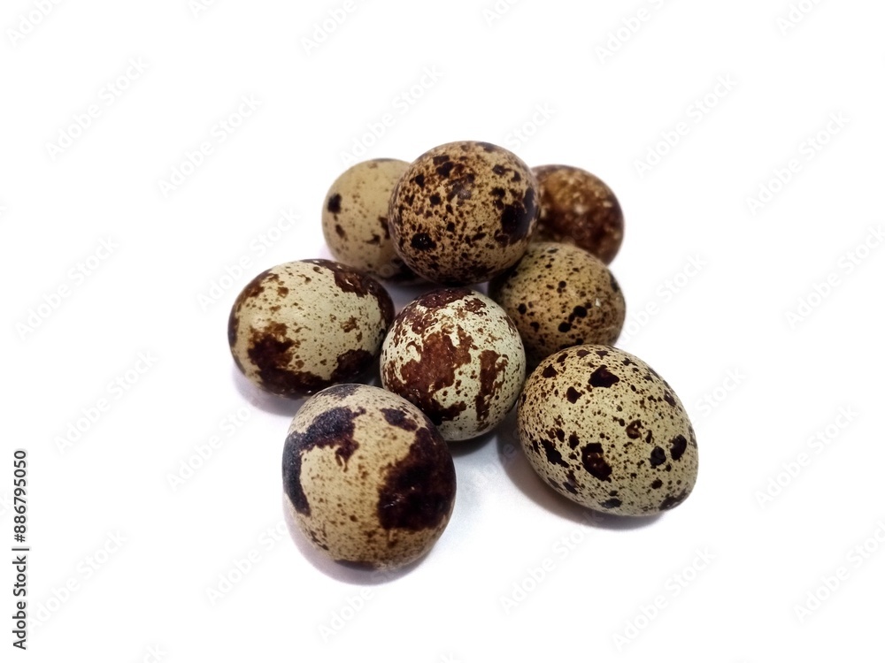 A bunch quail eggs on white background A bunch quail eggs on white background