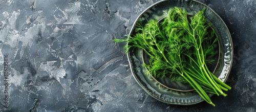 Plate with a bunch of fresh dill leaves, ideal for background with copy space image. photo