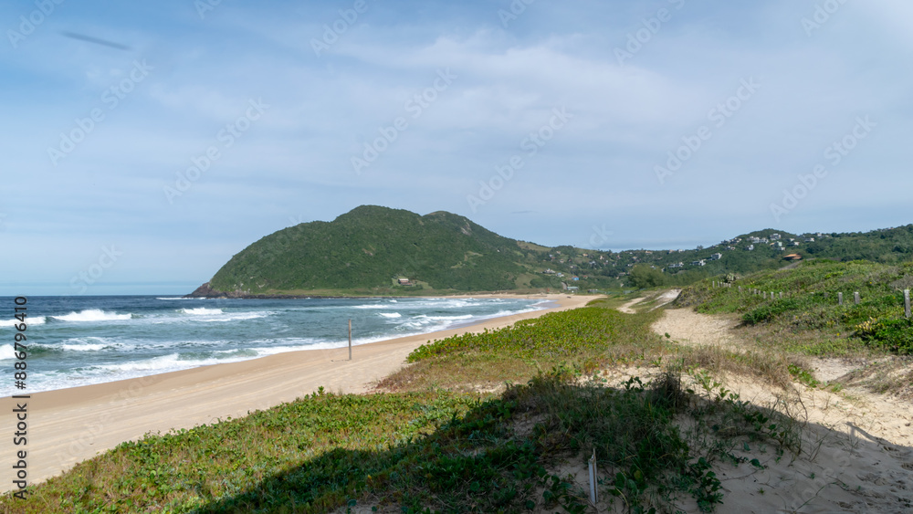 Fototapeta premium view of the coast of the sea