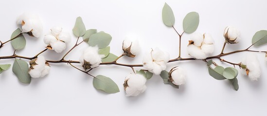 Top view of delicate white cotton flowers and fresh eucalyptus twigs arranged in a floral composition on a light gray background, creating a frame with copy space image for a greeting card.